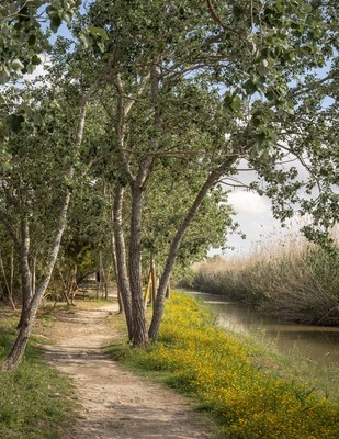 » #8/9 « / s&#039;Albufera, Platja de Muro, Mallorca / Blog post by <a href="https://strkng.com/en/photographer/joe+hogan/">Photographer Joe Hogan</a> / 2023-05-08 23:24