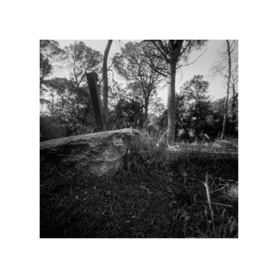 » #1/9 « / A Pinhole in the Woods / Blog-Beitrag von <a href="https://strkng.com/de/fotograf/joe+hogan/">Fotograf Joe Hogan</a> / 13.02.2024 13:02