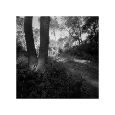 » #2/9 « / A Pinhole in the Woods / Blog post by <a href="https://strkng.com/en/photographer/joe+hogan/">Photographer Joe Hogan</a> / 2024-02-13 13:02