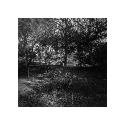 » #4/9 « / A Pinhole in the Woods / Blog-Beitrag von <a href="https://strkng.com/de/fotograf/joe+hogan/">Fotograf Joe Hogan</a> / 13.02.2024 13:02