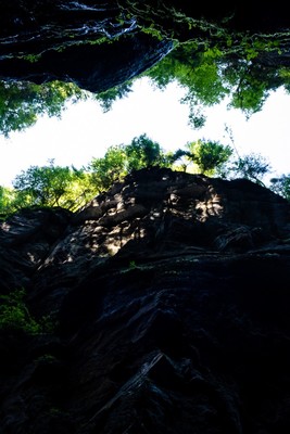 » #7/7 « / PARTNACHKLAMM (2018) / Blog post by <a href="https://renegreinerfotografie.strkng.com/en/">Photographer René Greiner Fotografie</a> / 2019-07-19 17:41 / Landscapes / schlucht,natur,himmel,bäume,eng,fels,tief,grün,schwarz