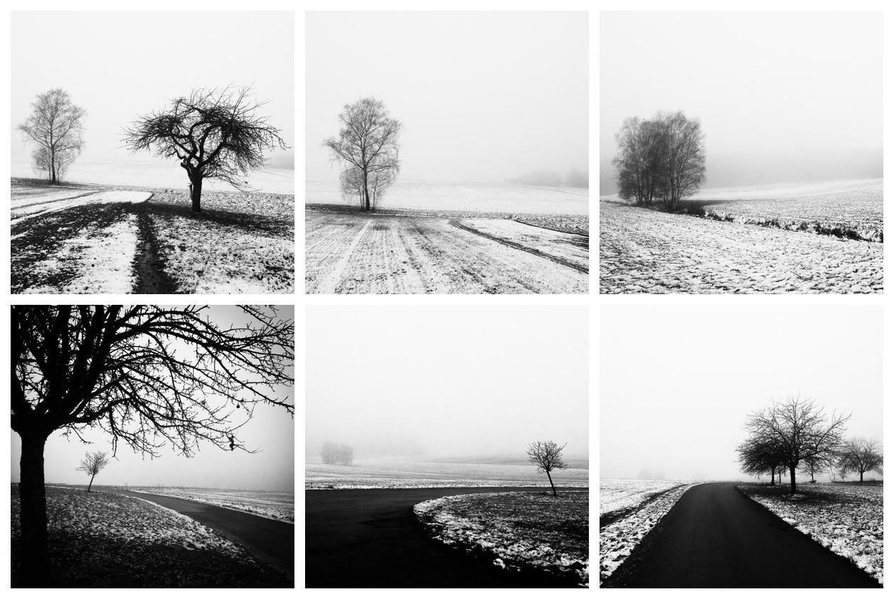 Winterlandschaft (2021) - Blog-Beitrag von Fotograf René Greiner Fotografie / 02.11.2022 14:27