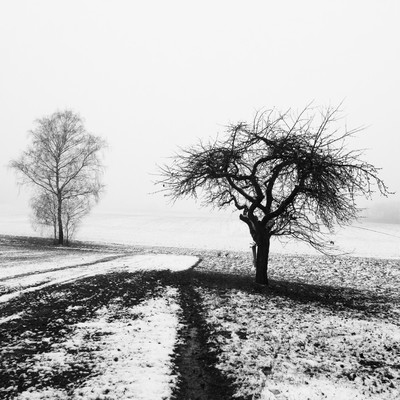 » #1/6 « / Winterlandschaft (2021) / Blog post by <a href="https://renegreinerfotografie.strkng.com/en/">Photographer René Greiner Fotografie</a> / 2022-11-02 14:27 / Natur / blackandwhite,blackandwhitephotography,winter,schnee,schwarzweiß,bäume,natur,nebel,misty,foggy,minimalismus,minimalistic