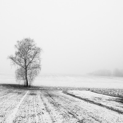 » #2/6 « / Winterlandschaft (2021) / Blog-Beitrag von <a href="https://renegreinerfotografie.strkng.com/de/">Fotograf René Greiner Fotografie</a> / 02.11.2022 14:27 / Natur / blackandwhite,blackandwhitephotography,schwarzweiß,schnee,winter,minimal,minimalistic,baum,natur