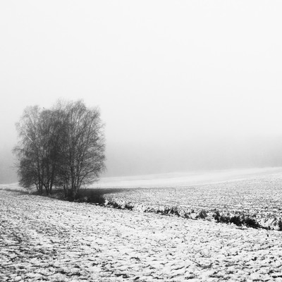 » #3/6 « / Winterlandschaft (2021) / Blog post by <a href="https://renegreinerfotografie.strkng.com/en/">Photographer René Greiner Fotografie</a> / 2022-11-02 14:27 / Natur / blackandwhite,blackandwhitephotography,schnee,winter,landschaft,natur,feld,minimalismus,nebel,foggy,bäume