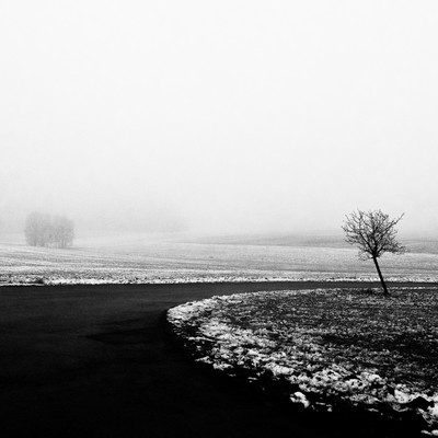 » #5/6 « / Winterlandschaft (2021) / Blog post by <a href="https://renegreinerfotografie.strkng.com/en/">Photographer René Greiner Fotografie</a> / 2022-11-02 14:27 / Natur / blackandwhite,blackandwhitephotography,minimalismus,minimal,feld,natur,landschaft,nebel,foggy,misty