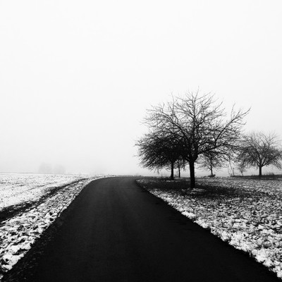 » #6/6 « / Winterlandschaft (2021) / Blog-Beitrag von <a href="https://renegreinerfotografie.strkng.com/de/">Fotograf René Greiner Fotografie</a> / 02.11.2022 14:27 / Natur / blackandwhite,blackandwhitephotography,schwarzweiß,minimal,minimalismus,nebel,foggy,misty,bäume,landschaft