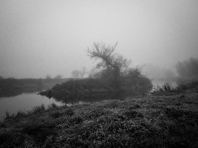 » #2/9 « / l&#039;automne (2022) / Blog-Beitrag von <a href="https://renegreinerfotografie.strkng.com/de/">Fotograf René Greiner Fotografie</a> / 08.11.2022 16:32 / Schwarz-weiss / blackandwhite,blackandwhitephotography,natur,landschaft,landscape,october,nebel,misty,foggy,ruhe,silence