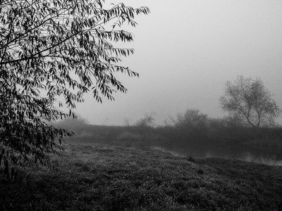 » #4/9 « / l&#039;automne (2022) / Blog-Beitrag von <a href="https://renegreinerfotografie.strkng.com/de/">Fotograf René Greiner Fotografie</a> / 08.11.2022 16:32 / Schwarz-weiss / blackandwhite,blackandwhitephotography,landschaft,landscape,nebel,foggy,misty,october,ruhe,silence,stille,bäume