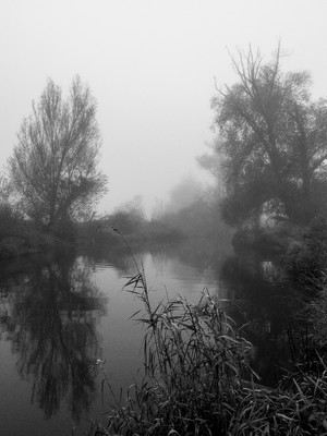 » #5/9 « / l&#039;automne (2022) / Blog-Beitrag von <a href="https://renegreinerfotografie.strkng.com/de/">Fotograf René Greiner Fotografie</a> / 08.11.2022 16:32 / Natur / blackandwhite,blackandwhitephotography,fluss,landschaft,landscape,nebel,foggy,misty,october,spiegelung,bäume,ruhe,silence,stille,schwarzweiss,natur