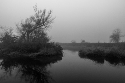 » #7/9 « / l&#039;automne (2022) / Blog-Beitrag von <a href="https://renegreinerfotografie.strkng.com/de/">Fotograf René Greiner Fotografie</a> / 08.11.2022 16:32 / Natur / blackandwhite,blackandwhitephotography,october,foggy,misty,nebel,fluss,bäume,landschaft,landscape,ruhe,stille,silence,schwarzweiß