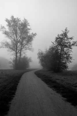 » #9/9 « / l&#039;automne (2022) / Blog-Beitrag von <a href="https://renegreinerfotografie.strkng.com/de/">Fotograf René Greiner Fotografie</a> / 08.11.2022 16:32 / Natur / blackandwhite,blackandwhitephotography,schwarzweiß,landschaft,landscape,nebel,foggy,misty,ruhe,stille,silence,bäume