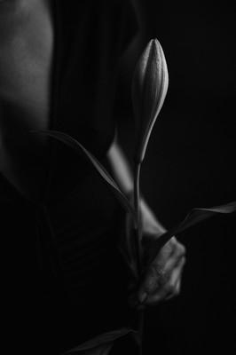 » #6/7 « / In Gedanken versunken... / Blog post by <a href="https://strkng.com/en/photographer/peter+k%C3%A4chele/">Photographer Peter Kächele</a> / 2024-04-03 09:01 / Portrait