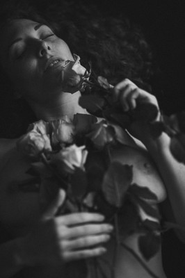 » #2/9 « / Flowers / Blog-Beitrag von <a href="https://strkng.com/de/fotograf/peter+k%C3%A4chele/">Fotograf Peter Kächele</a> / 29.01.2025 16:16 / Portrait