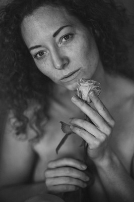 » #3/9 « / Flowers / Blog post by <a href="https://strkng.com/en/photographer/peter+k%C3%A4chele/">Photographer Peter Kächele</a> / 2025-01-29 16:16 / Portrait