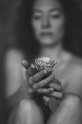 » #4/9 « / Flowers / Blog post by <a href="https://strkng.com/en/photographer/peter+k%C3%A4chele/">Photographer Peter Kächele</a> / 2025-01-29 16:16 / Portrait