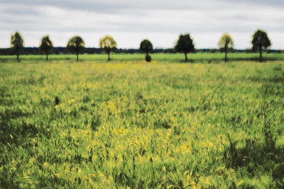 » #3/5 « / Creamy Dreamy Landscape / Blog post by <a href="https://strkng.com/en/photographer/carsten+krebs/">Photographer Carsten Krebs</a> / 2020-05-05 22:32 / Landscapes