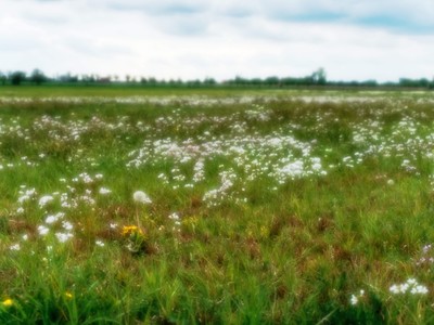 » #4/5 « / Creamy Dreamy Landscape / Blog post by <a href="https://strkng.com/en/photographer/carsten+krebs/">Photographer Carsten Krebs</a> / 2020-05-05 22:32 / Landscapes