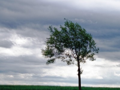 » #5/5 « / Creamy Dreamy Landscape / Blog-Beitrag von <a href="https://strkng.com/de/fotograf/carsten+krebs/">Fotograf Carsten Krebs</a> / 05.05.2020 22:32 / Landscapes