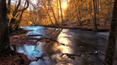 » #2/3 « / Bavarian Autumn Art / Blog-Beitrag von <a href="https://strkng.com/de/fotograf/michael+stapfer/">Fotograf Michael Stapfer</a> / 04.10.2019 15:03