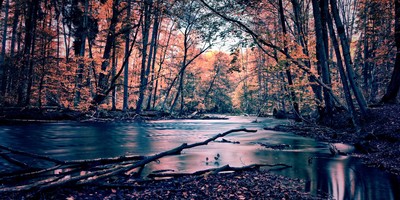 » #3/3 « / Bavarian Autumn Art / Blog post by <a href="https://strkng.com/en/photographer/michael+stapfer/">Photographer Michael Stapfer</a> / 2019-10-04 15:03