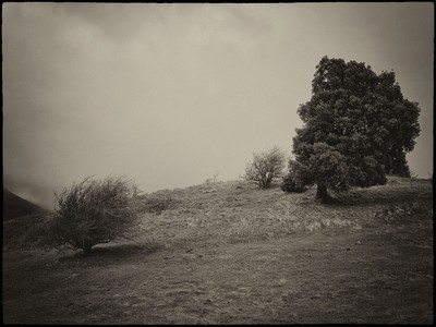 » #3/5 « / Bric Pesariondo / Blog post by <a href="https://strkng.com/en/photographer/storvandre+photography/">Photographer Storvandre Photography</a> / 2020-10-30 14:35 / Landscapes