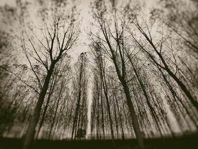 » #2/9 « / Autumn in Po Valley / Blog post by <a href="https://strkng.com/en/photographer/storvandre+photography/">Photographer Storvandre Photography</a> / 2020-11-06 17:17 / Landscapes