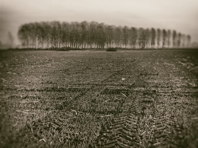 » #4/9 « / Autumn in Po Valley / Blog-Beitrag von <a href="https://strkng.com/de/fotograf/storvandre+photography/">Fotograf Storvandre Photography</a> / 06.11.2020 17:17 / Landscapes