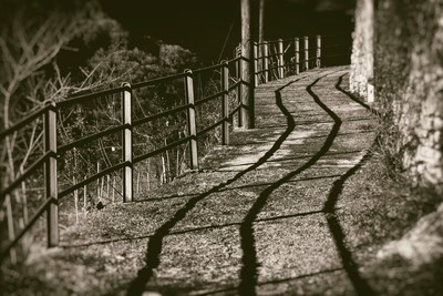 » #7/9 « / Pognana Lario – The Secrets of Lake Como / Blog-Beitrag von <a href="https://strkng.com/de/fotograf/storvandre+photography/">Fotograf Storvandre Photography</a> / 08.01.2021 12:31 / Dokumentation