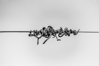 » #5/9 « / San Colombano / Blog post by <a href="https://strkng.com/en/photographer/storvandre+photography/">Photographer Storvandre Photography</a> / 2021-10-11 13:31 / Schwarz-weiss