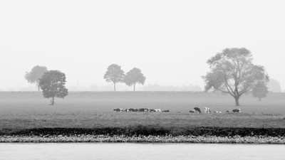 » #9/9 « / Niederrhein / Blog-Beitrag von <a href="https://strkng.com/de/fotograf/gernot+schwarz/">Fotograf Gernot Schwarz</a> / 17.12.2019 19:52