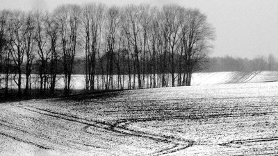 » #4/5 « / Feldzeichen / Blog-Beitrag von <a href="https://strkng.com/de/fotograf/gernot+schwarz/">Fotograf Gernot Schwarz</a> / 23.12.2019 13:10