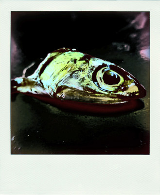 » #7/9 « / POLAROIDS / Blog post by <a href="https://strkng.com/en/photographer/gernot+schwarz/">Photographer Gernot Schwarz</a> / 2020-02-10 14:40