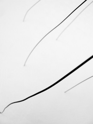 » #3/8 « / Wire / Blog-Beitrag von <a href="https://strkng.com/de/fotograf/gernot+schwarz/">Fotograf Gernot Schwarz</a> / 16.02.2020 14:25