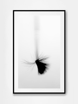 » #1/9 « / Framed / Blog-Beitrag von <a href="https://strkng.com/de/fotograf/gernot+schwarz/">Fotograf Gernot Schwarz</a> / 19.02.2020 13:03