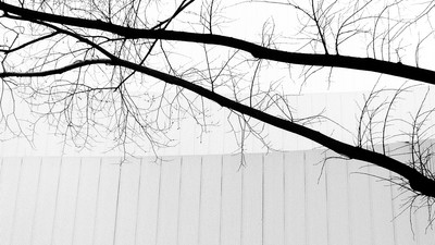 » #7/9 « / Format 16:9 b/w / Blog post by <a href="https://strkng.com/en/photographer/gernot+schwarz/">Photographer Gernot Schwarz</a> / 2020-03-24 14:21