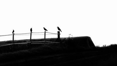 » #9/9 « / Format 16:9 b/w / Blog post by <a href="https://strkng.com/en/photographer/gernot+schwarz/">Photographer Gernot Schwarz</a> / 2020-03-24 14:21