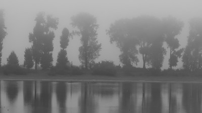 Nebel / Schwarz-weiss / Nebel