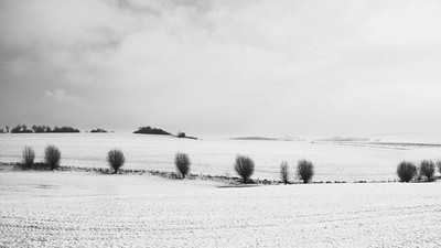 Winter / Landscapes / Winter