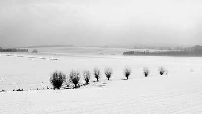 Winter / Landscapes / Winter