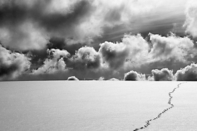 Schwarzwald 1 / Landscapes / Fotografie,Schwarzwald,Winter,Schnee