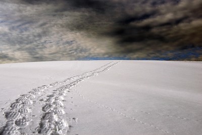 Schwarzwald 2 / Landscapes / Fotografie,Schwarzwald,Schnee