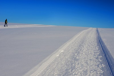 Schwarzwald 4 / Landscapes / Fotografie,Schwarzwald,Loipe,Schnee