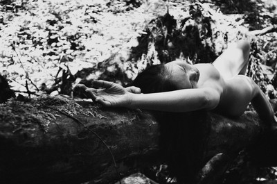 » #4/9 « / Im Wald / Blog-Beitrag von <a href="https://strkng.com/de/fotografin/sprache+der+seele/">Fotografin Sprache der Seele</a> / 17.08.2020 19:02