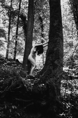 » #9/9 « / Im Wald / Blog-Beitrag von <a href="https://strkng.com/de/fotografin/sprache+der+seele/">Fotografin Sprache der Seele</a> / 17.08.2020 19:02