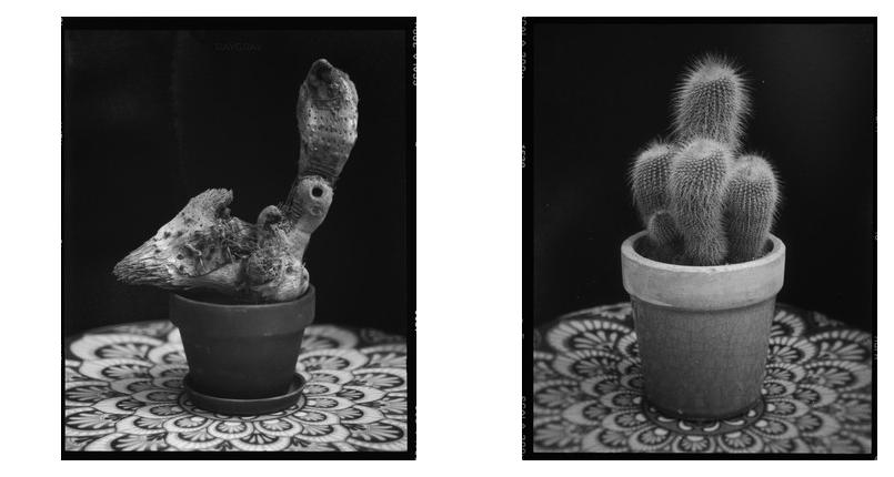 distraction - Blog-Beitrag von Fotograf ray gray / 14.08.2025 15:16