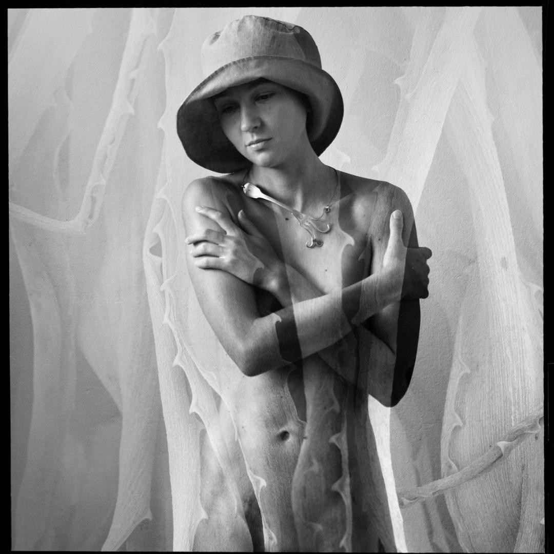~~~~~~ - Blog-Beitrag von Fotograf ray gray / 30.08.2025 20:59