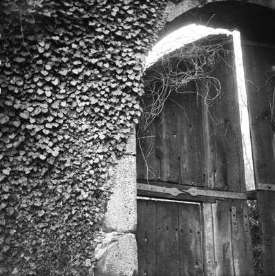 » #1/6 « / Kloster Arnsburg - analog / Blog post by <a href="https://strkng.com/en/photographer/soulcatch-me/">Photographer soulcatch.me</a> / 2020-02-22 10:05 / Stimmungen