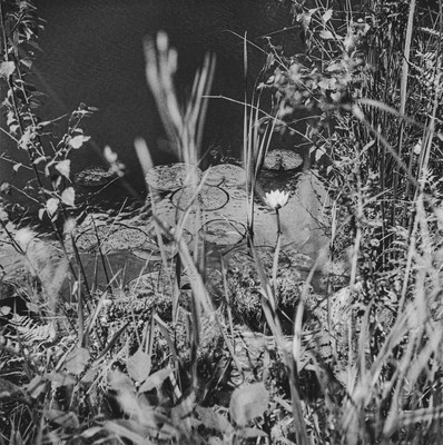 » #4/6 « / Märchensee / Blog post by <a href="https://strkng.com/en/photographer/soulcatch-me/">Photographer soulcatch.me</a> / 2020-04-13 18:19 / Schwarz-weiss