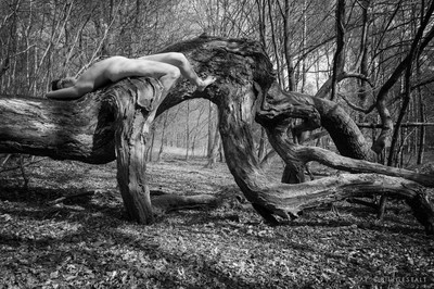 » #2/9 « / Symbiose / Blog-Beitrag von <a href="https://strkng.com/de/fotograf/ulisses/">Fotograf Ulisses</a> / 29.12.2020 13:17 / Nude